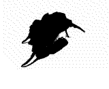 2� vanishing of the painter